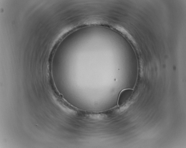 X0000071950439200607282012