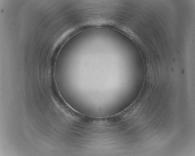 X0000071950440200607282012