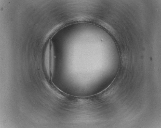 X0000071950442200607282012