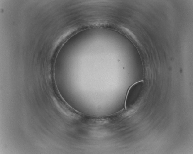 X0000071950443200607282012