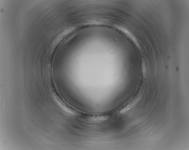 X0000071950445200607282012