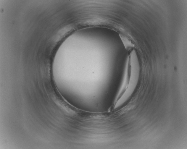 X0000071950446200607282012