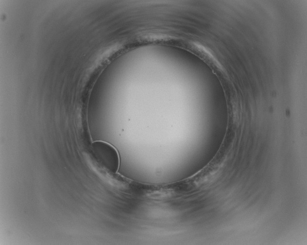 X0000071950447200607282012