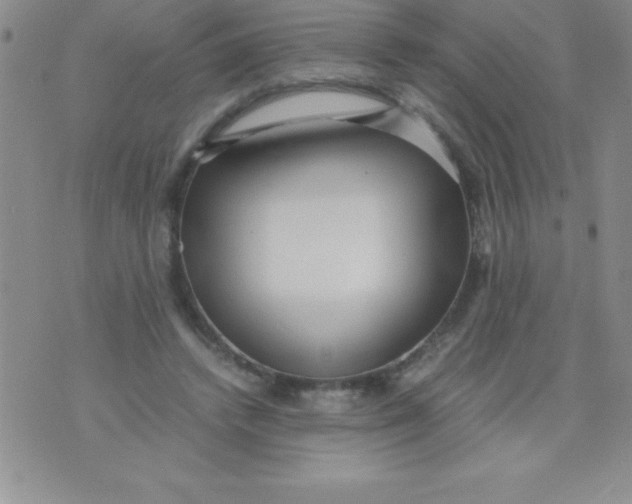 X0000071950448200607282012