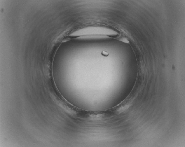 X0000071950450200607282012