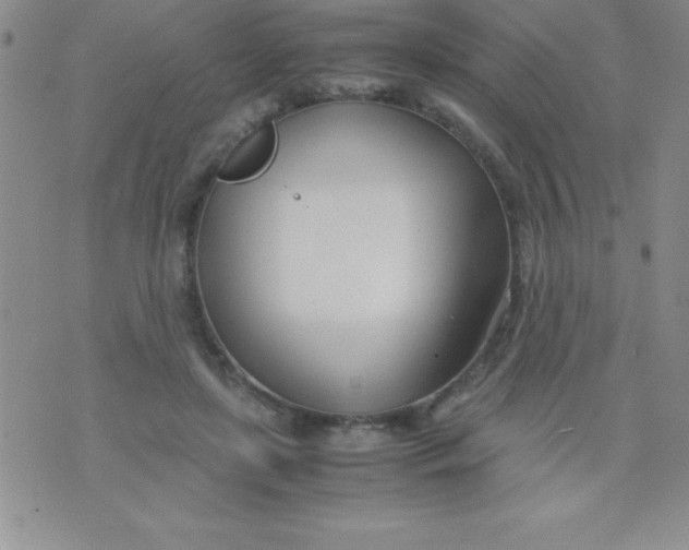 X0000071950451200607282012