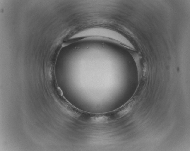 X0000071950452200607282012