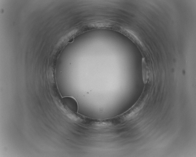 X0000071950453200607282012