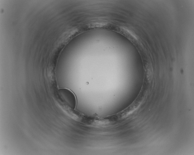 X0000071950455200607282012