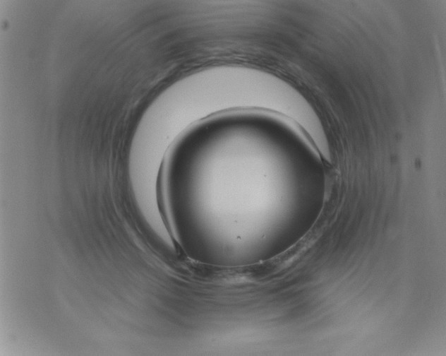 X0000071950456200607282012