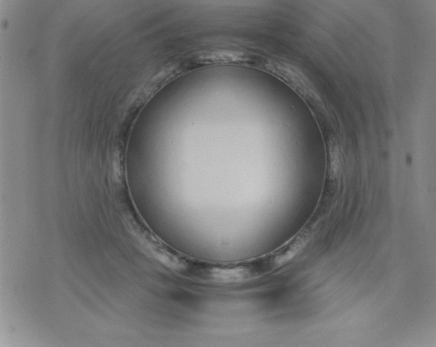 X0000071950457200607282012