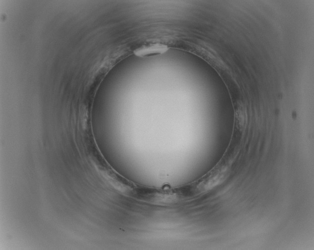 X0000071950458200607282012