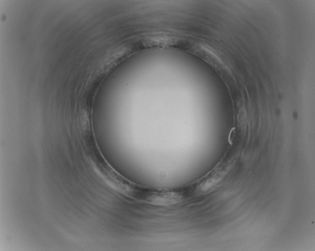 X0000071950459200607282012