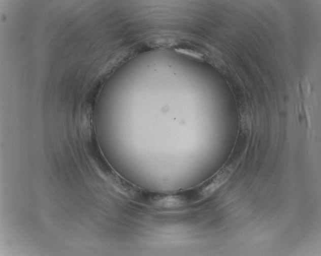 X0000071950460200607282012