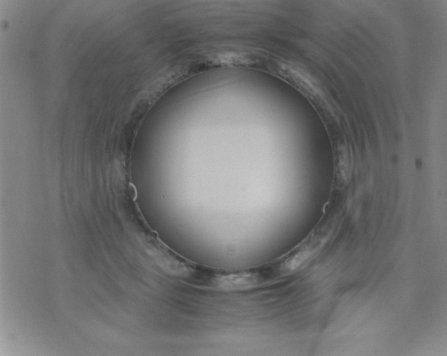 X0000071950461200607282012