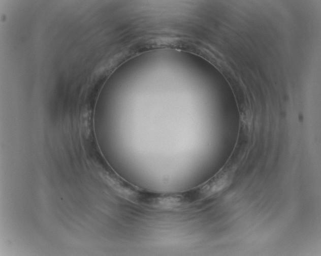 X0000071950462200607282012