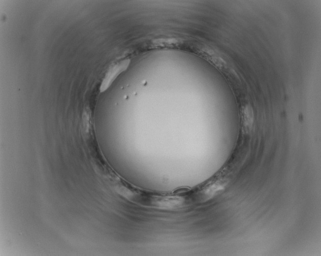 X0000071950463200607282012