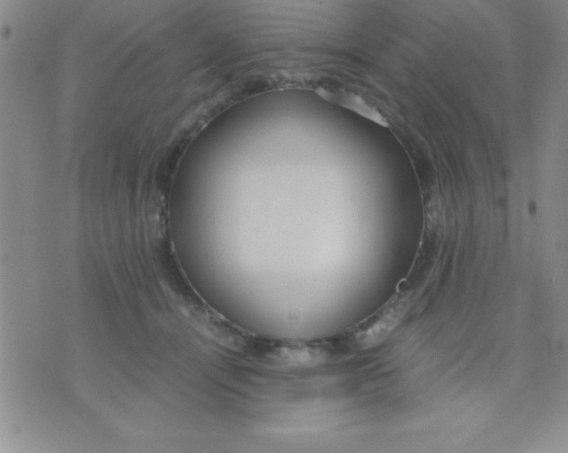 X0000071950464200607282013