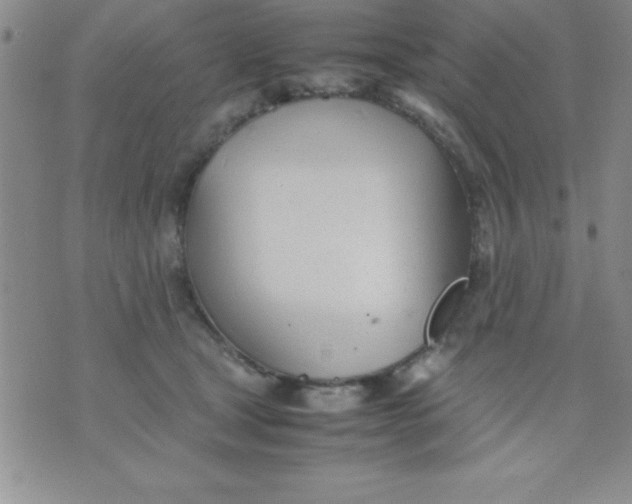 X0000071950465200607282013