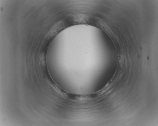 X0000071950466200607282013