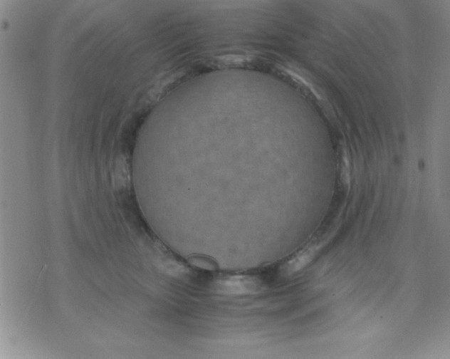 X0000071950467200607282013