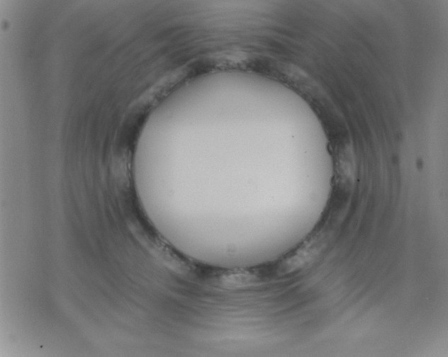 X0000071950468200607282013