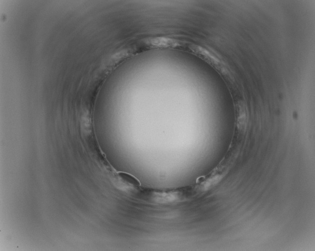 X0000071950469200607282013