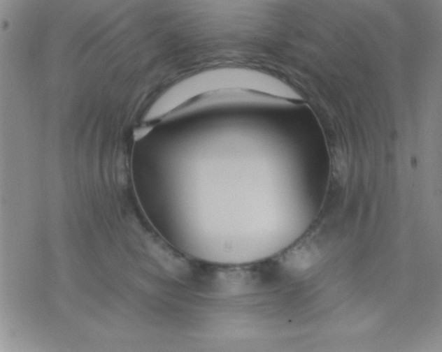 X0000071950470200607282013