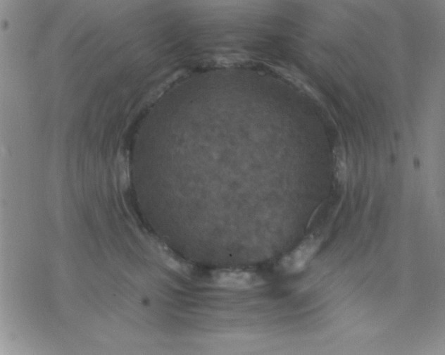 X0000071950471200607282013