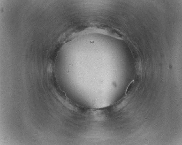 X0000071950472200607282013