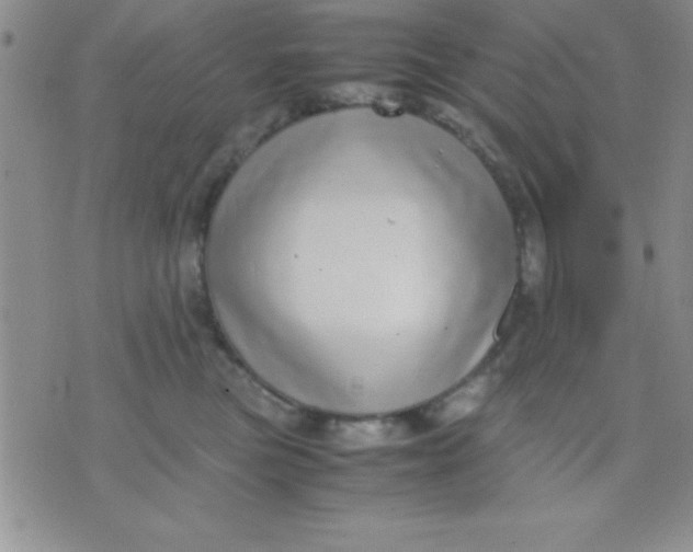 X0000071950473200607282013