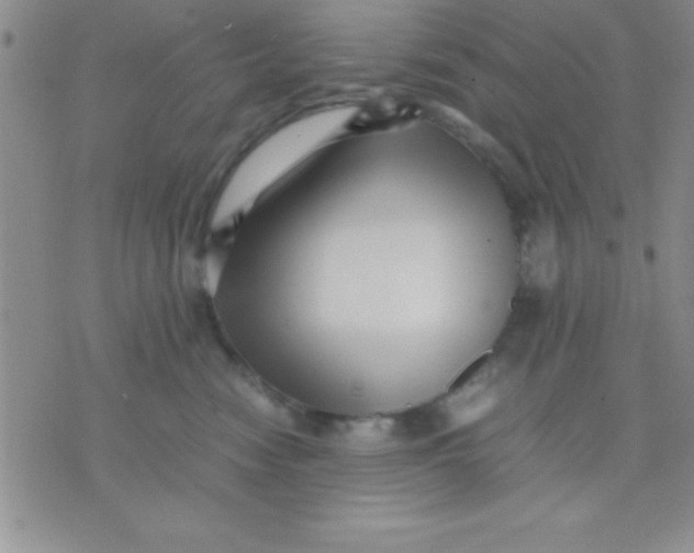 X0000071950474200607282013