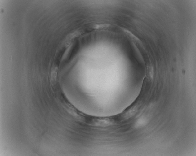 X0000071950475200607282013