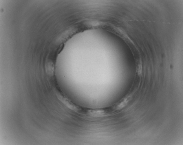 X0000071950476200607282013