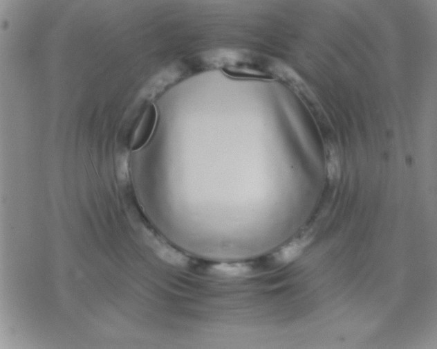 X0000071950477200607282013