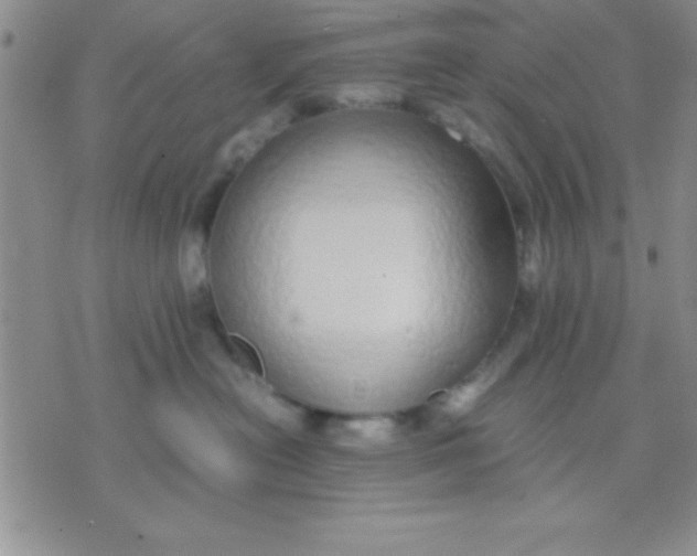 X0000071950478200607282013