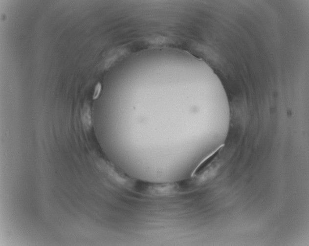 X0000071950479200607282013