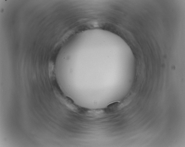 X0000071950480200607282013