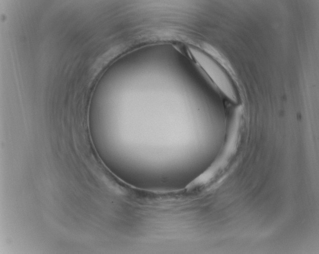 X0000071950481200607282012