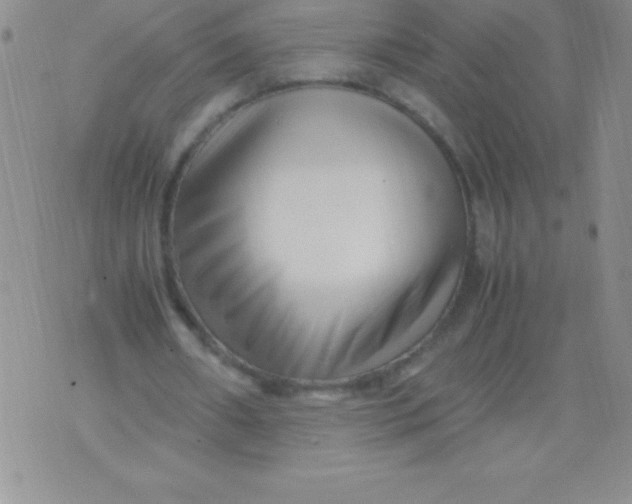 X0000071950482200607282012