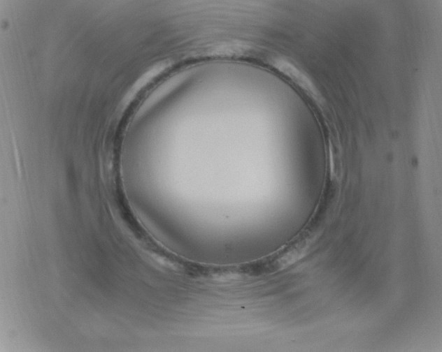 X0000071950483200607282012