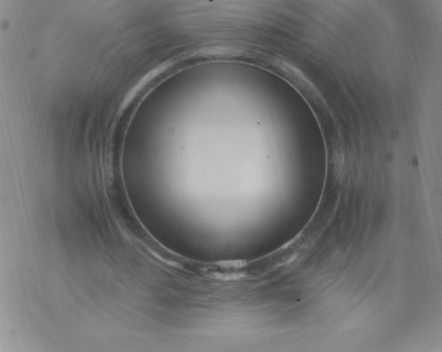 X0000071950484200607282012