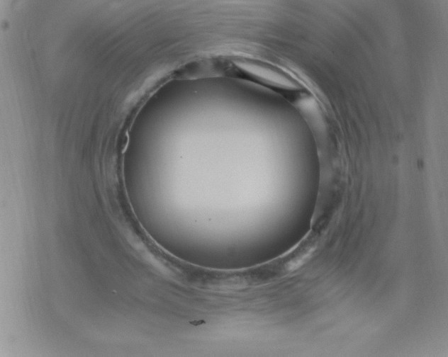 X0000071950485200607282012