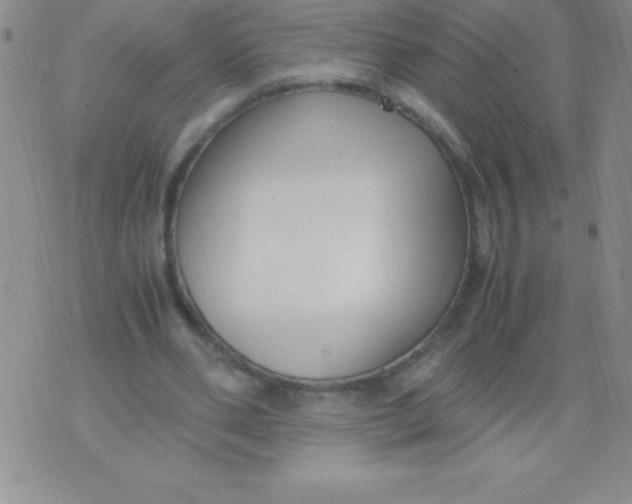 X0000071950486200607282012