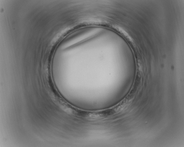 X0000071950487200607282012