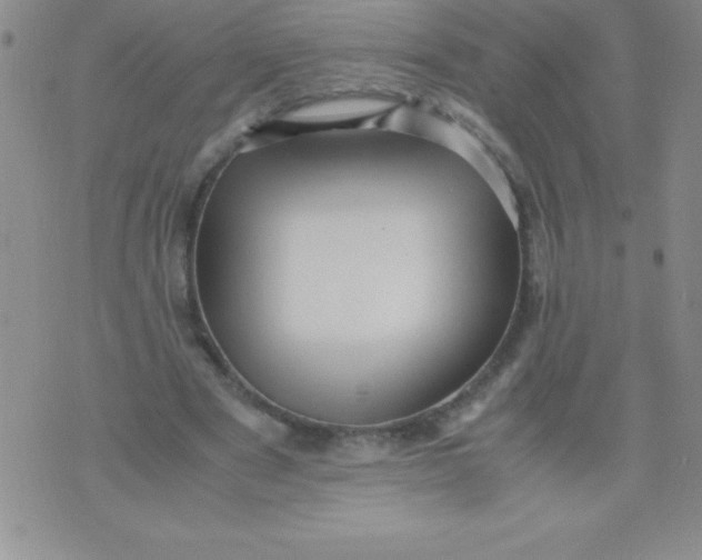 X0000071950489200607282012