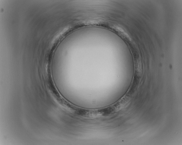 X0000071950491200607282012