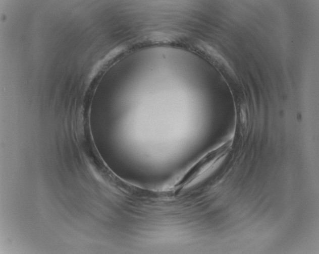 X0000071950492200607282012