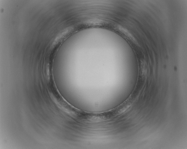 X0000071950494200607282012