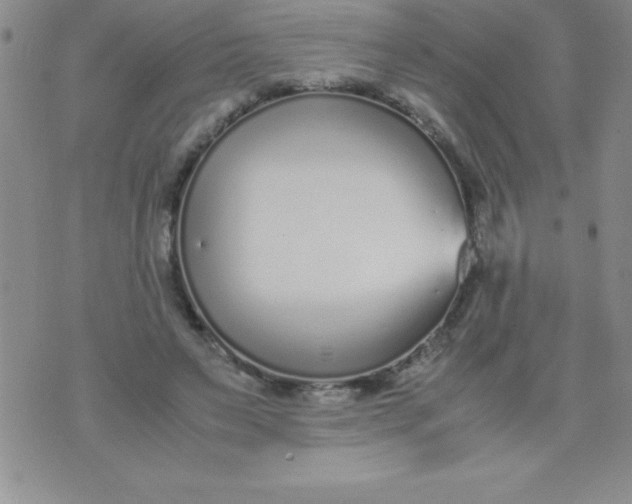 X0000071950495200607282012